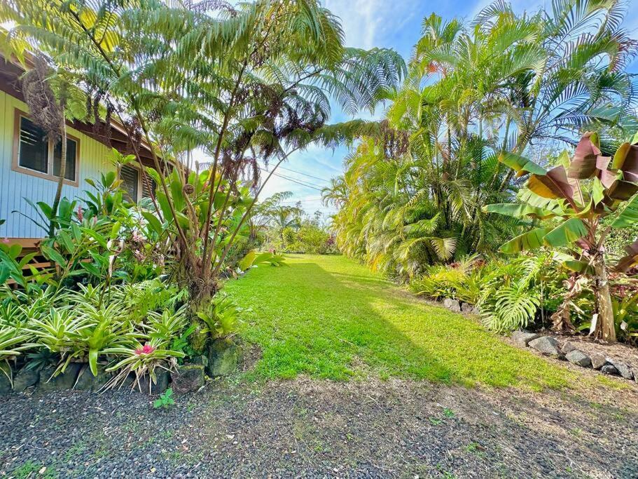 Puna Zen Botanical Garden Retreat 凯阿奥 外观 照片